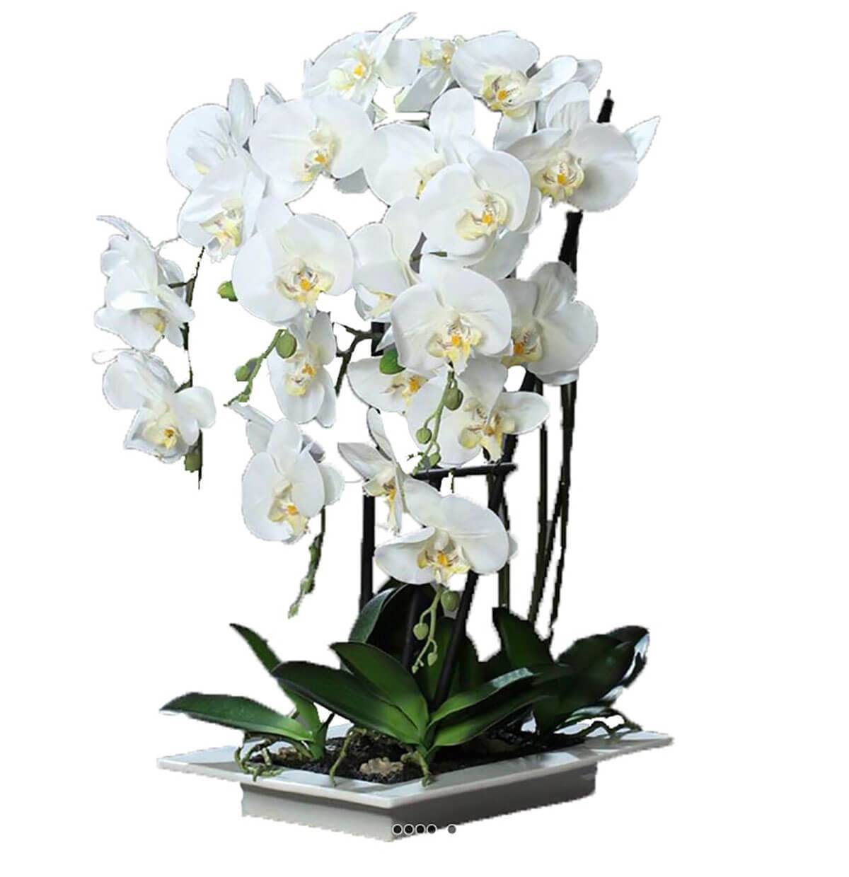 Artificielles - Orchidee factice 5 hampes en coupe ceramique H60cm touché réel Crème - couleur: Crème - Imagen 1