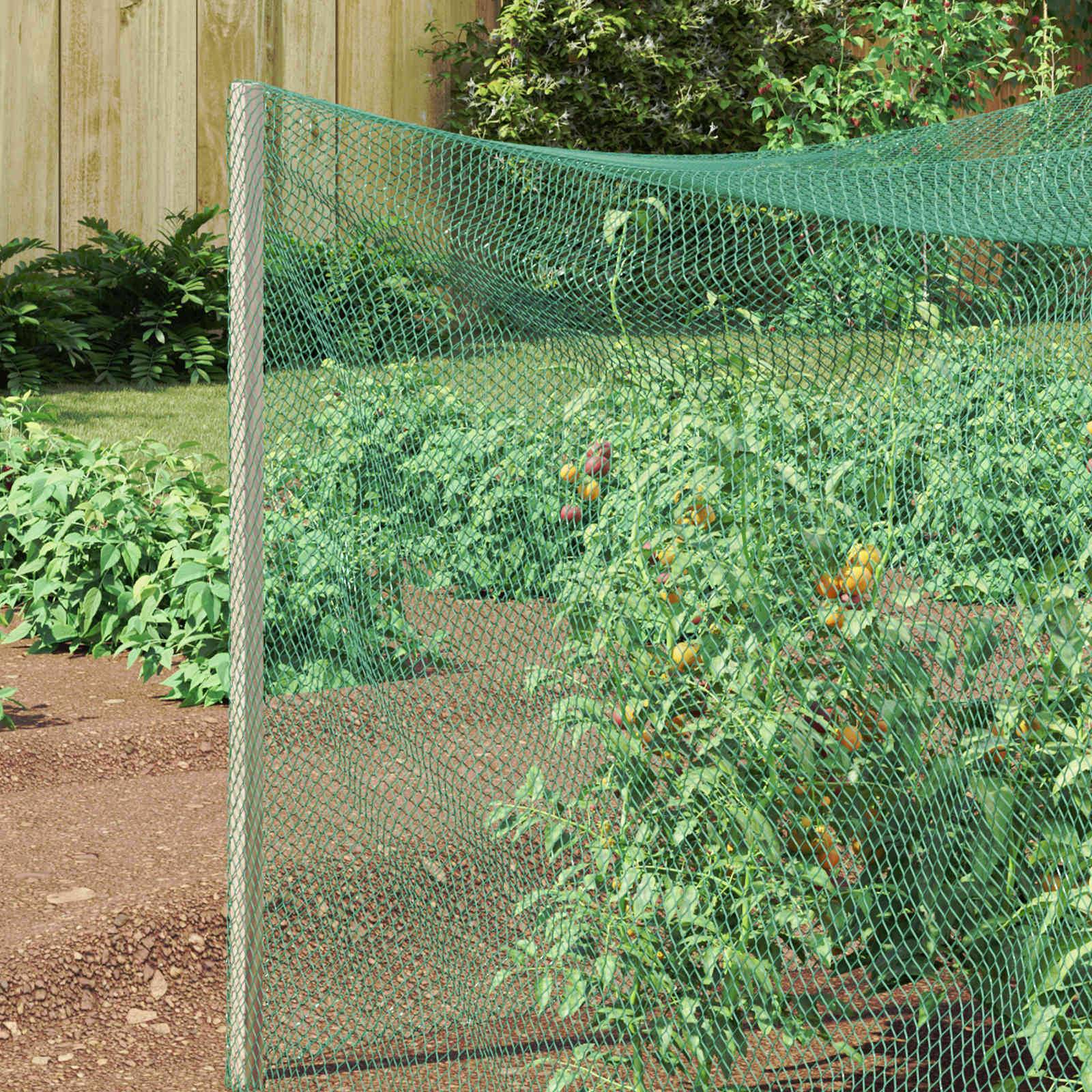 Filet de Protection Anti-oiseaux Polyéthylène pour Jardin et Verger Vert 2 x 25 m - ComfortXL Outdoor Living - Image 3
