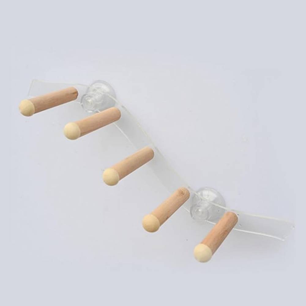 DtopbuyAge - Ventouse Perche en Bois Pour Perroquet Cage Jouet - Image 4