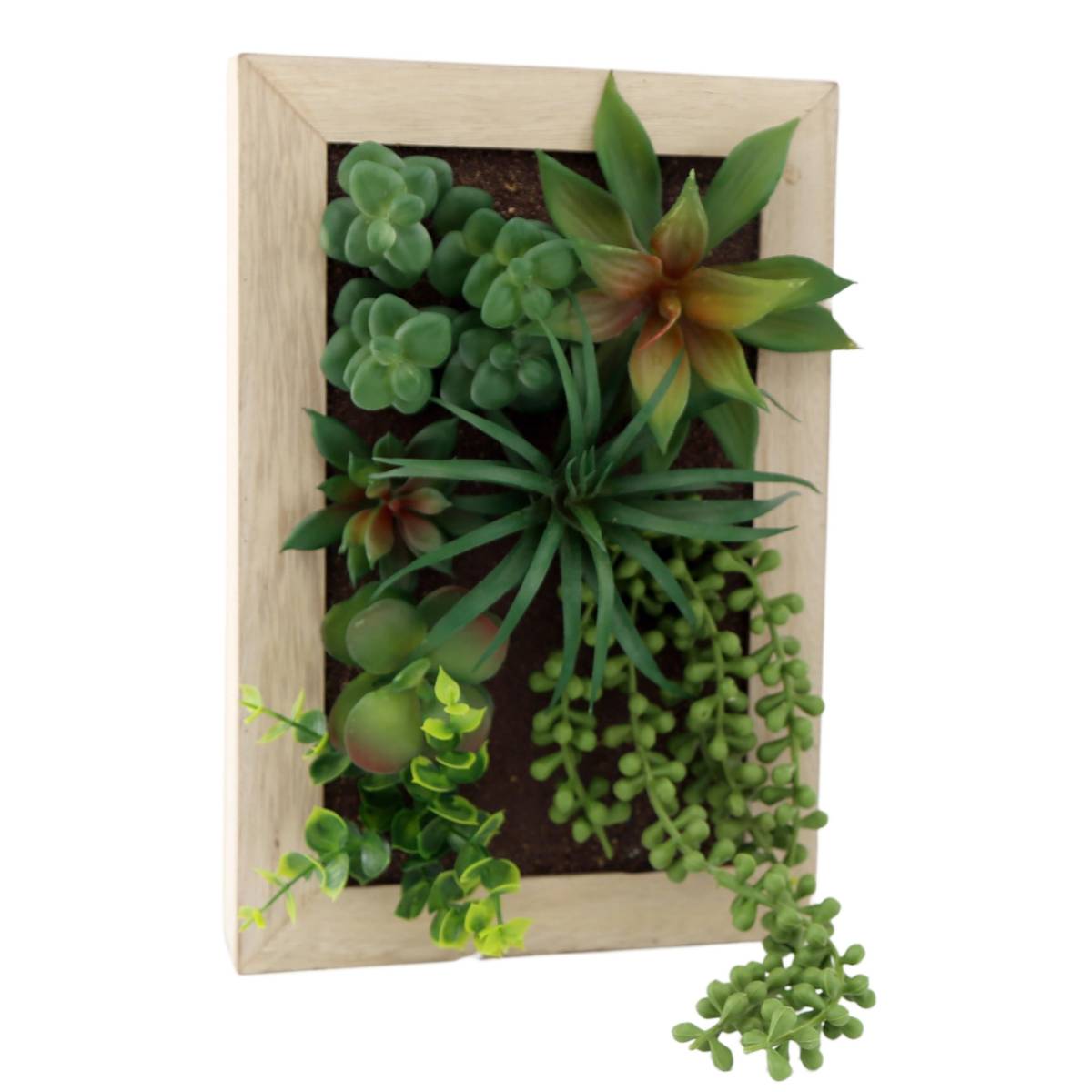 Sil - Cadre mural avec plante succulente artificielle 20 x 30 cm - Imagen 1