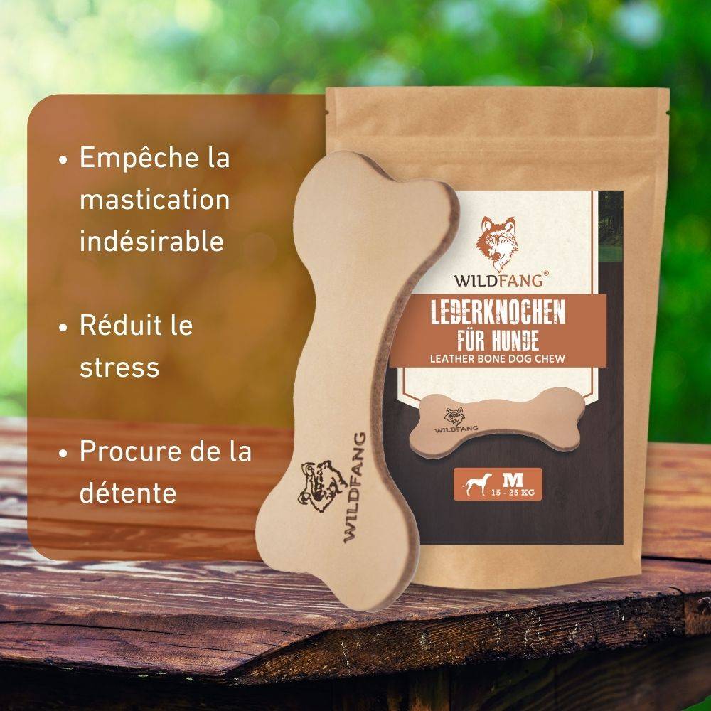 Wildfang - Paquet de chiots xxl "Bienvenue chérie" - M - pour les chiens pesant entre 10 et 25 kg - Image 5