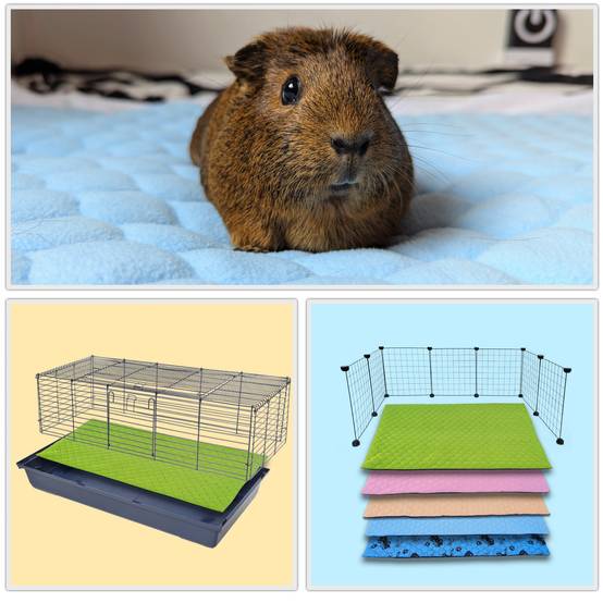 Tapis qui remplace la Litière pour Cochon d'Inde et Lapin - Absorbant, Imperméable, Passe en Machine - 105 x 70 cm - Neo Solvo - Image 2