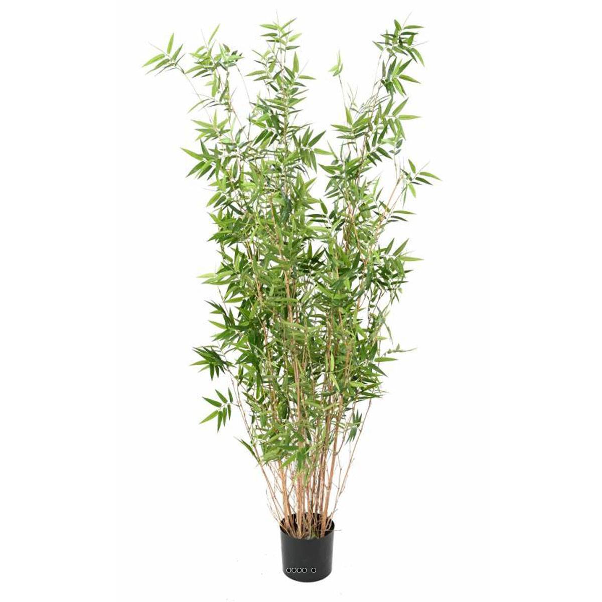 Artificielles - Bambou Oriental Artificiel cannes fines en pot H 100 cm D 35 cm Vert - dimhaut: H 100 cm - couleur: Vert