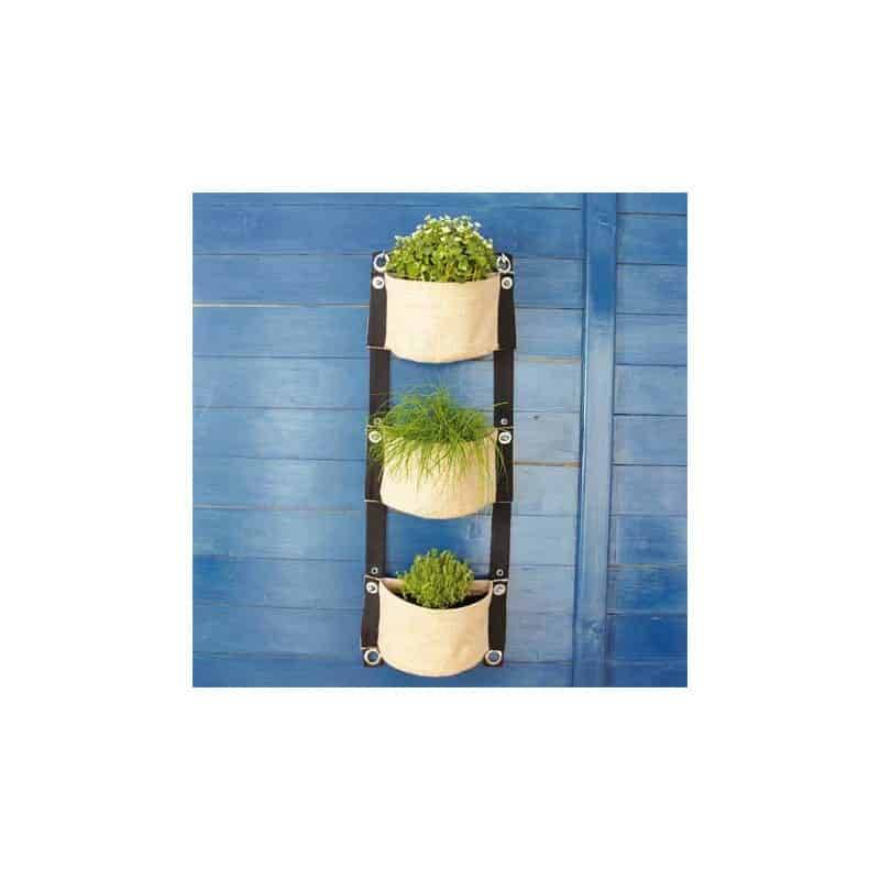 Innovaxe - Mur végétal en toile de Jute - Innovaxe