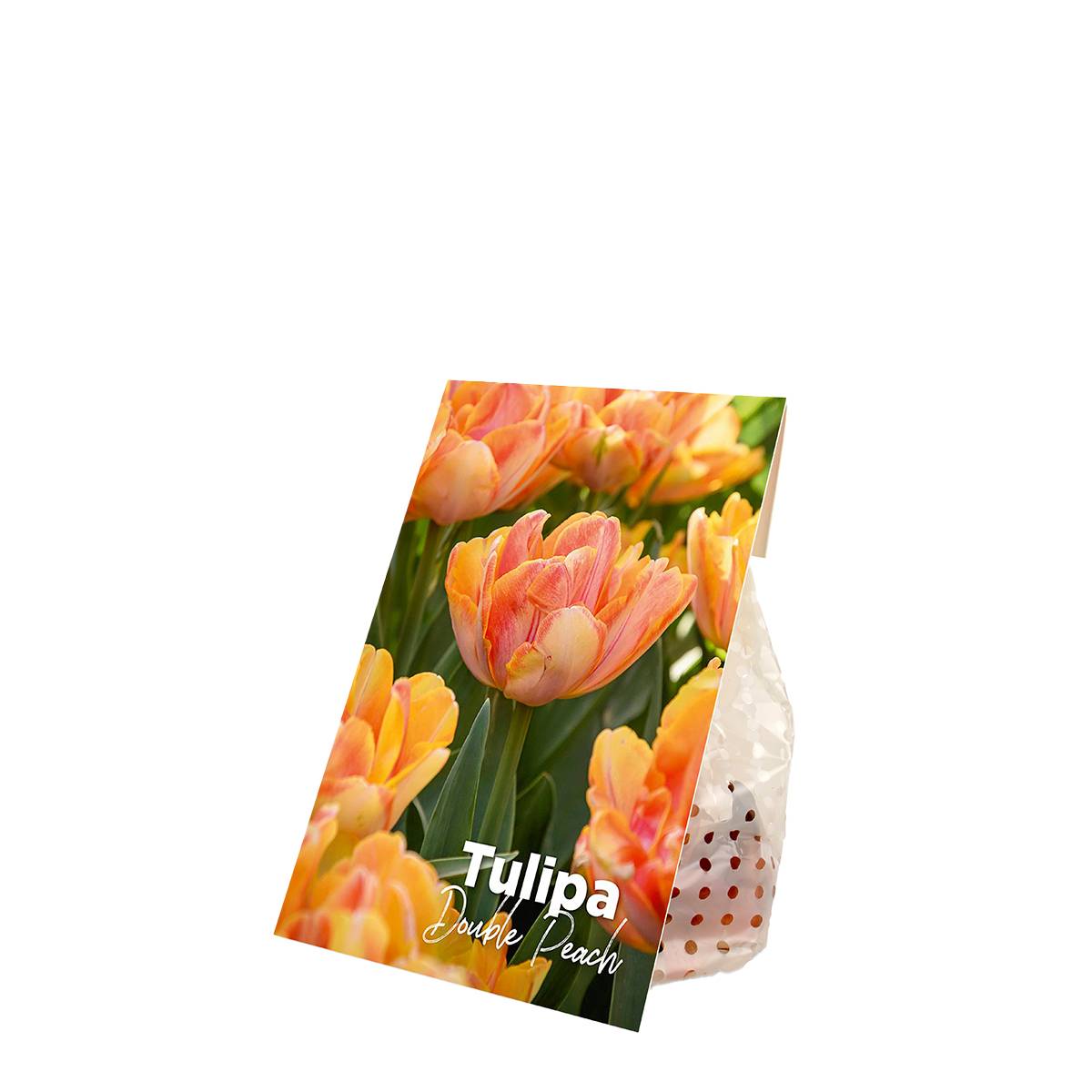 Mélange de 20 - Tulipa Double Pêche - Bulbes de Tulipes - Fleur Double - Bulbes à Fleurs - Image 2