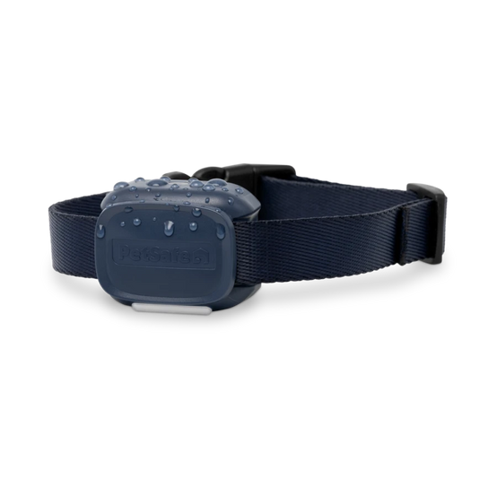 Petsafe - Système d'aide à l'éducation 300m - Core - Image 2
