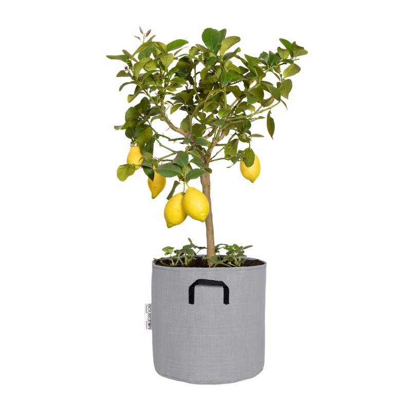 Bourgeon - Sac à plantation respirant 30 cm Gris - Bourgeon - Imagen 1