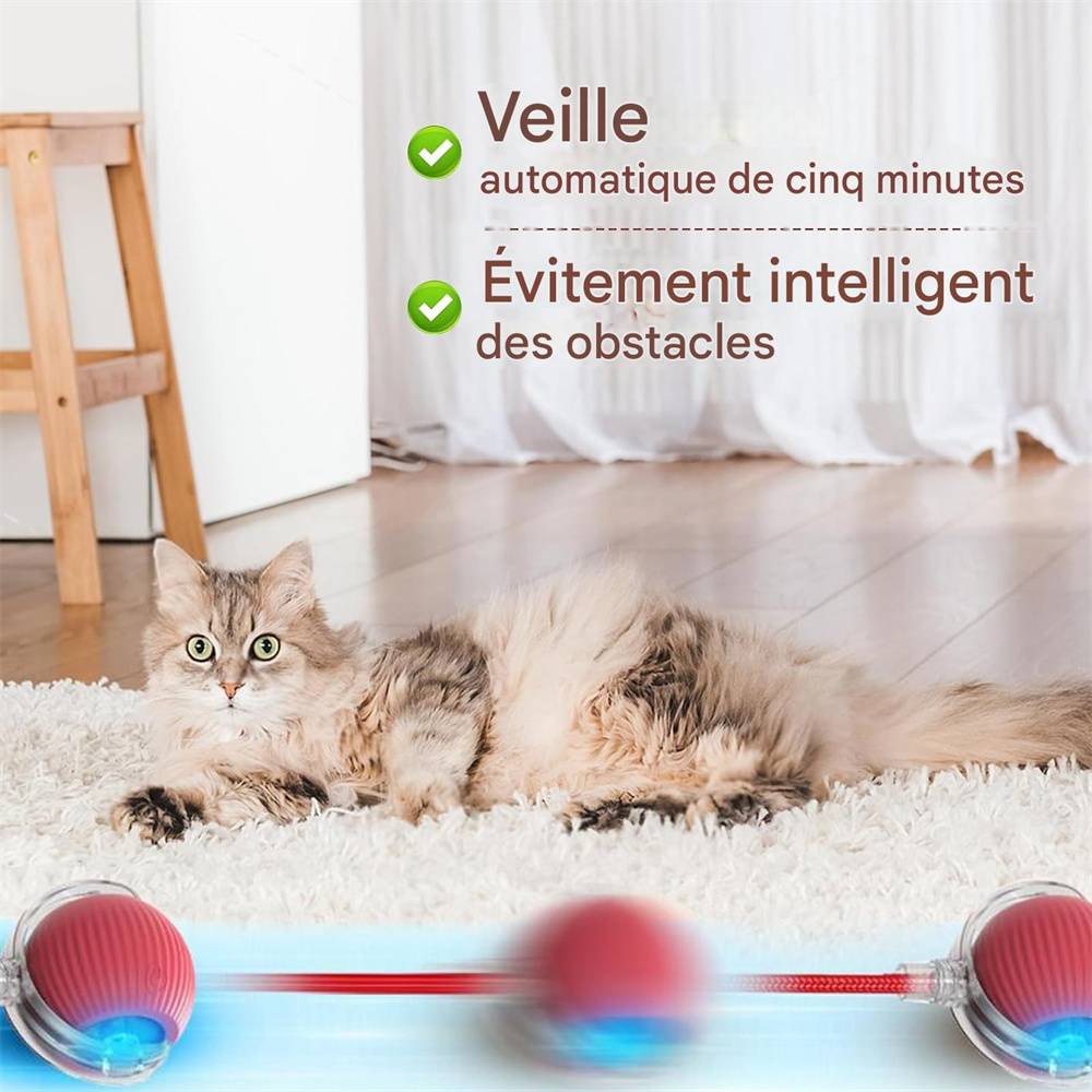 DtopbuyAge - Jeu interactif de balle pour chat DtopbuyAge - Image 5
