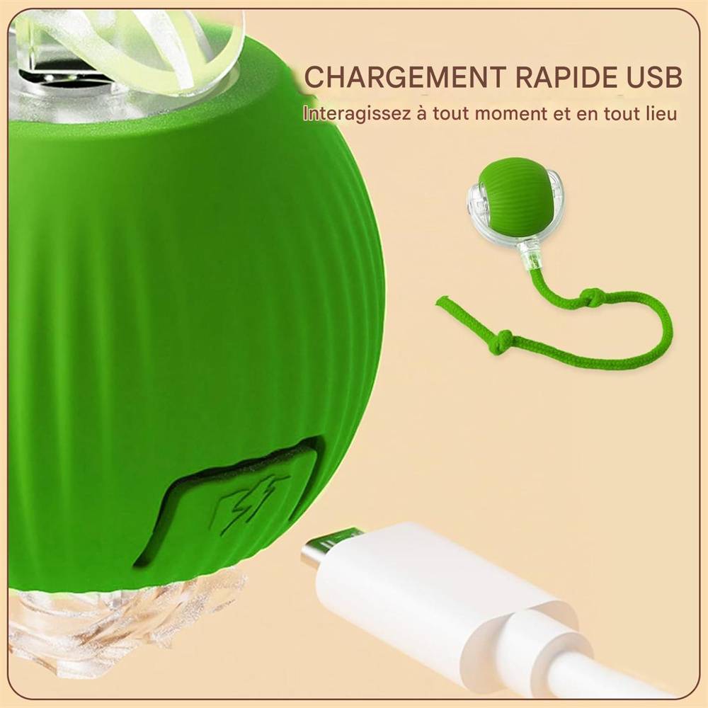 DtopbuyAge - Jeu interactif de balle pour chat DtopbuyAge - Image 4