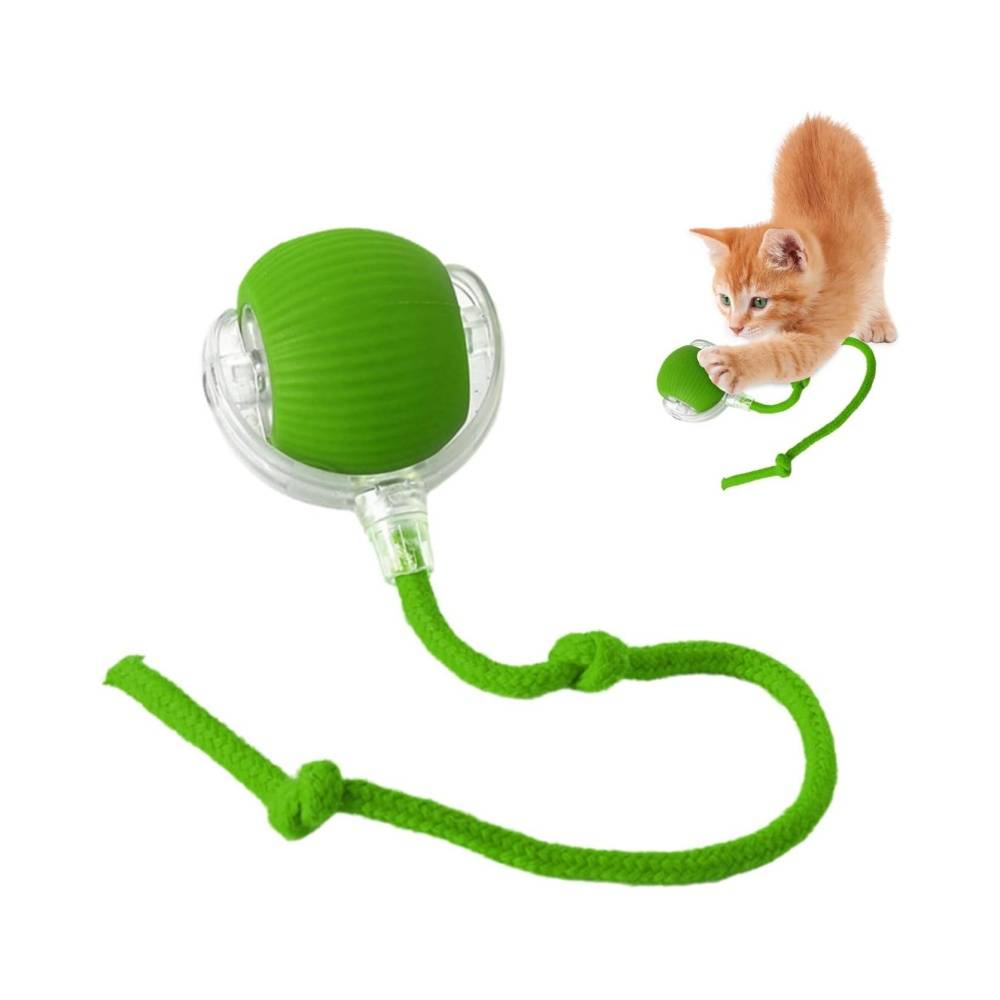 DtopbuyAge - Jeu interactif de balle pour chat DtopbuyAge - Image 1