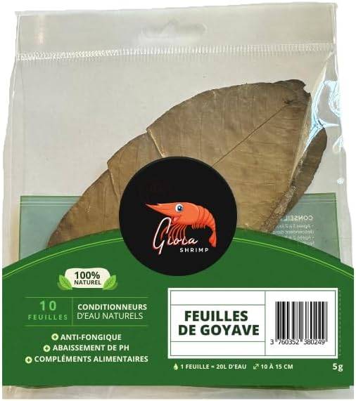 Gioia SHRIMP Feuille de Goyave x10 / Conditionneur d'eau Naturel/pour Vos Poissons et crevettes d'aquarium