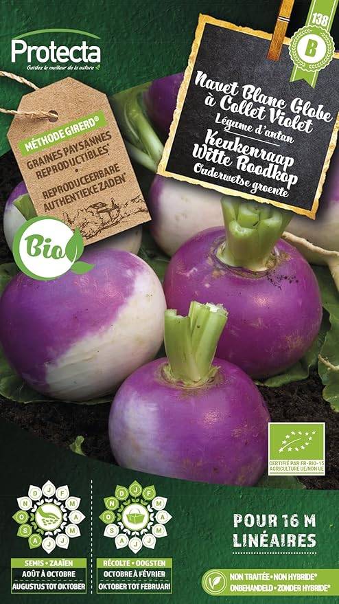 Protecta - Navet Blanc Globe à Collet Violet BIO