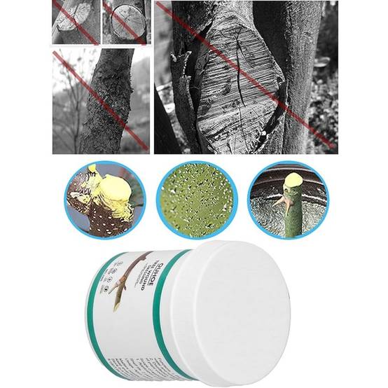 Scellant de Plaies d'Arbres 100g - Image 4