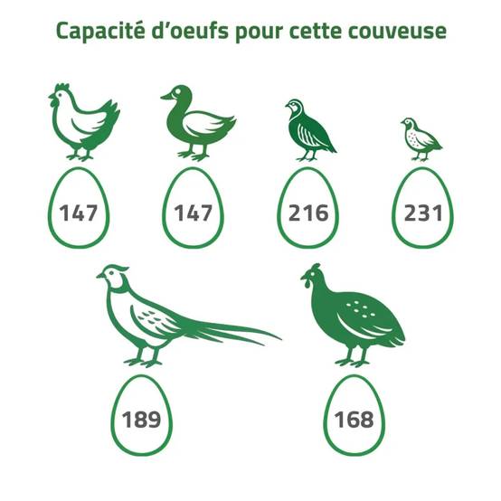 Couveuse + 3 Tiroirs de caille à poule MAINO - Image 10