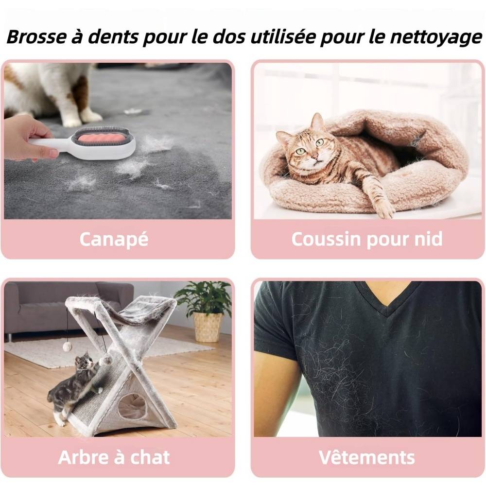 Brosse Pour Animaux Domestiques Auto-Nettoyante avec Réservoir Eau, Massage Anti-Poils Rose - Lytech - Image 4