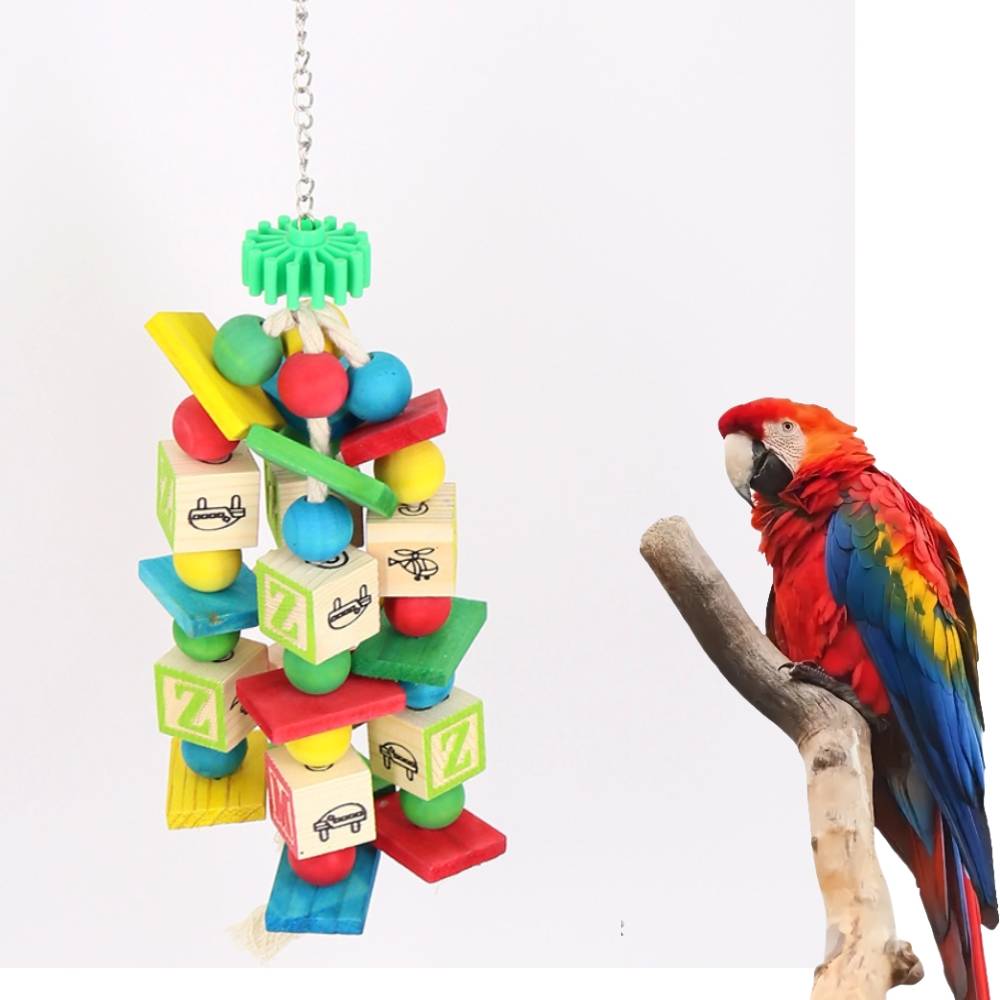 Jouet de mâchouillage pour perroquet - IntiMeg - Image 1