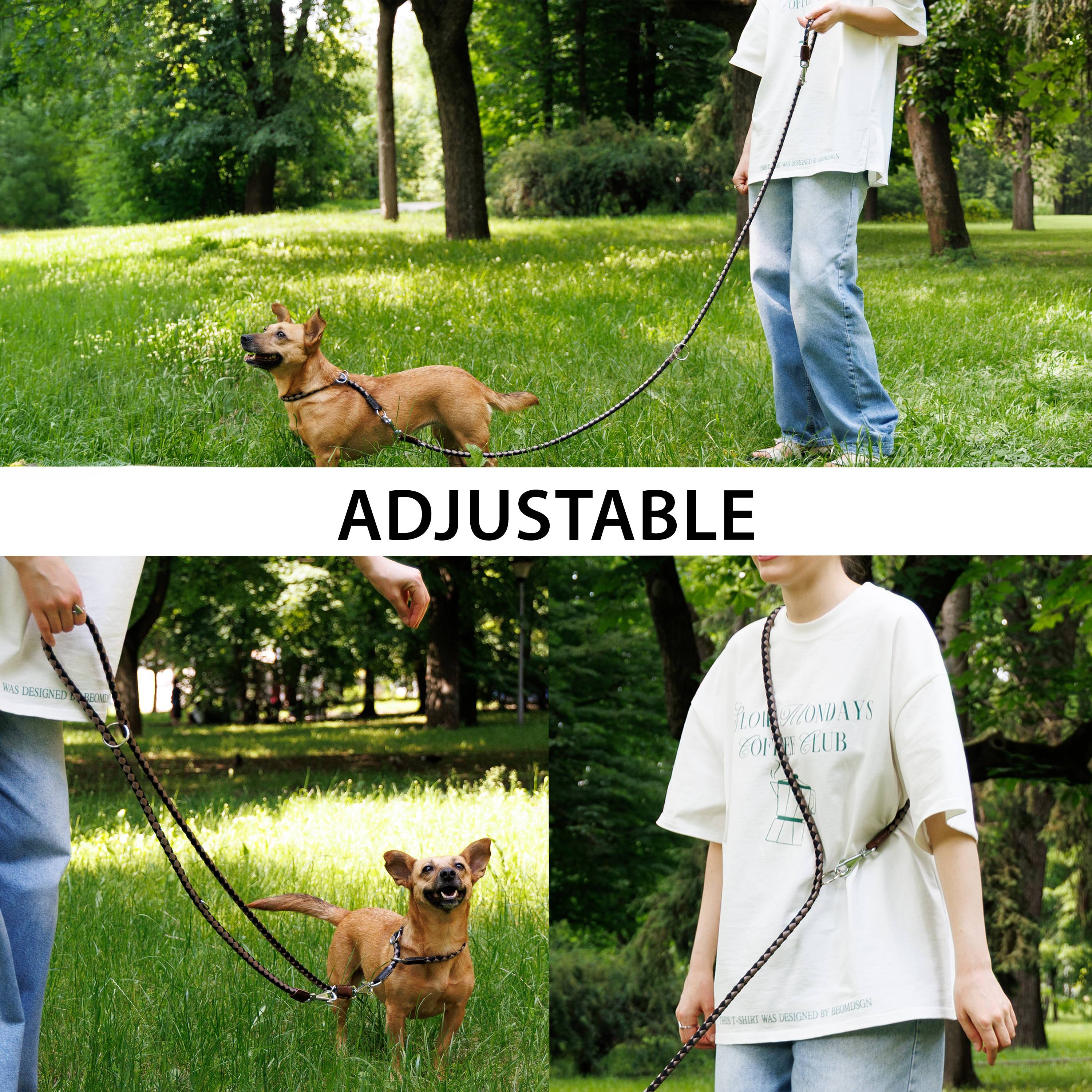 Ferplast - Laisse de Dressage pour Chiens en Nylon TWIST MATIC GA12/200, Mousqueton Magnétique Automatique - Imagen 5