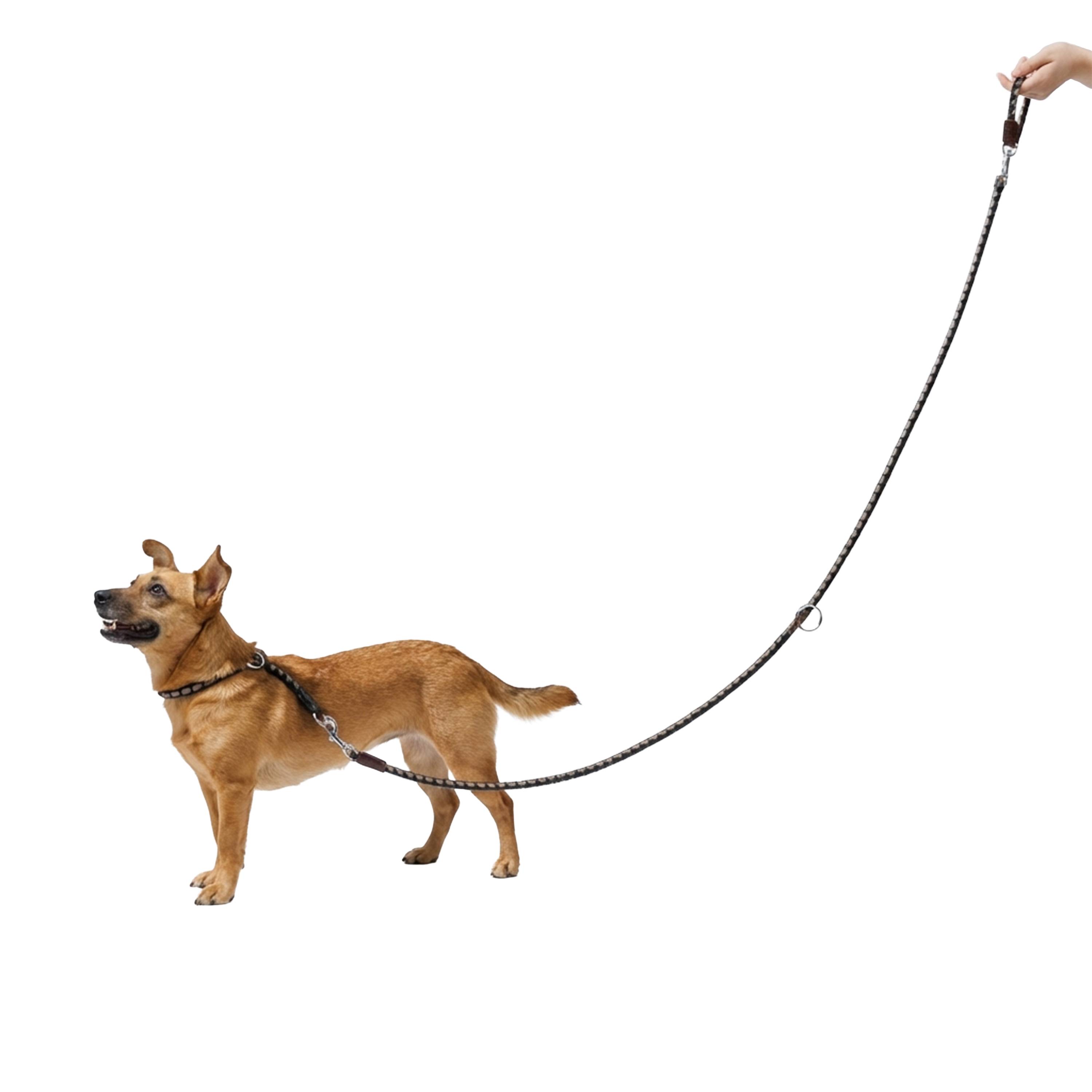 Ferplast - Laisse de Dressage pour Chiens en Nylon TWIST MATIC GA12/200, Mousqueton Magnétique Automatique - Imagen 4
