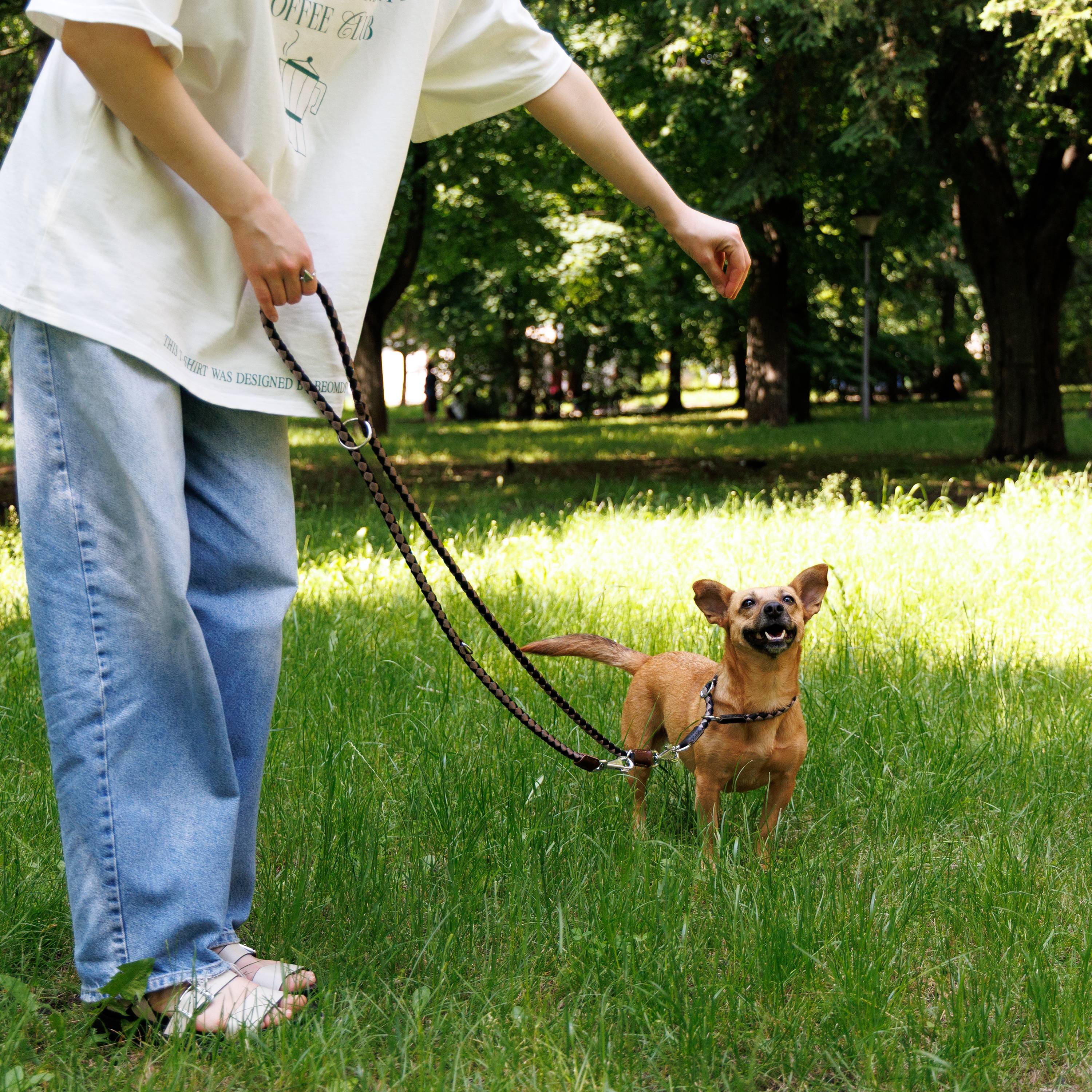 Ferplast - Laisse de Dressage pour Chiens en Nylon TWIST MATIC GA12/200, Mousqueton Magnétique Automatique - Imagen 3
