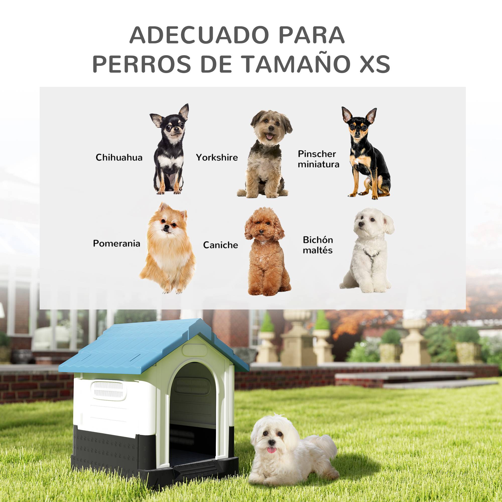 Mini niche d'extérieur en plastique pour chien avec 3 fenêtres, base surélevée, toit incliné, 64,5 x 57 x 66 cm, bleue - Image 6