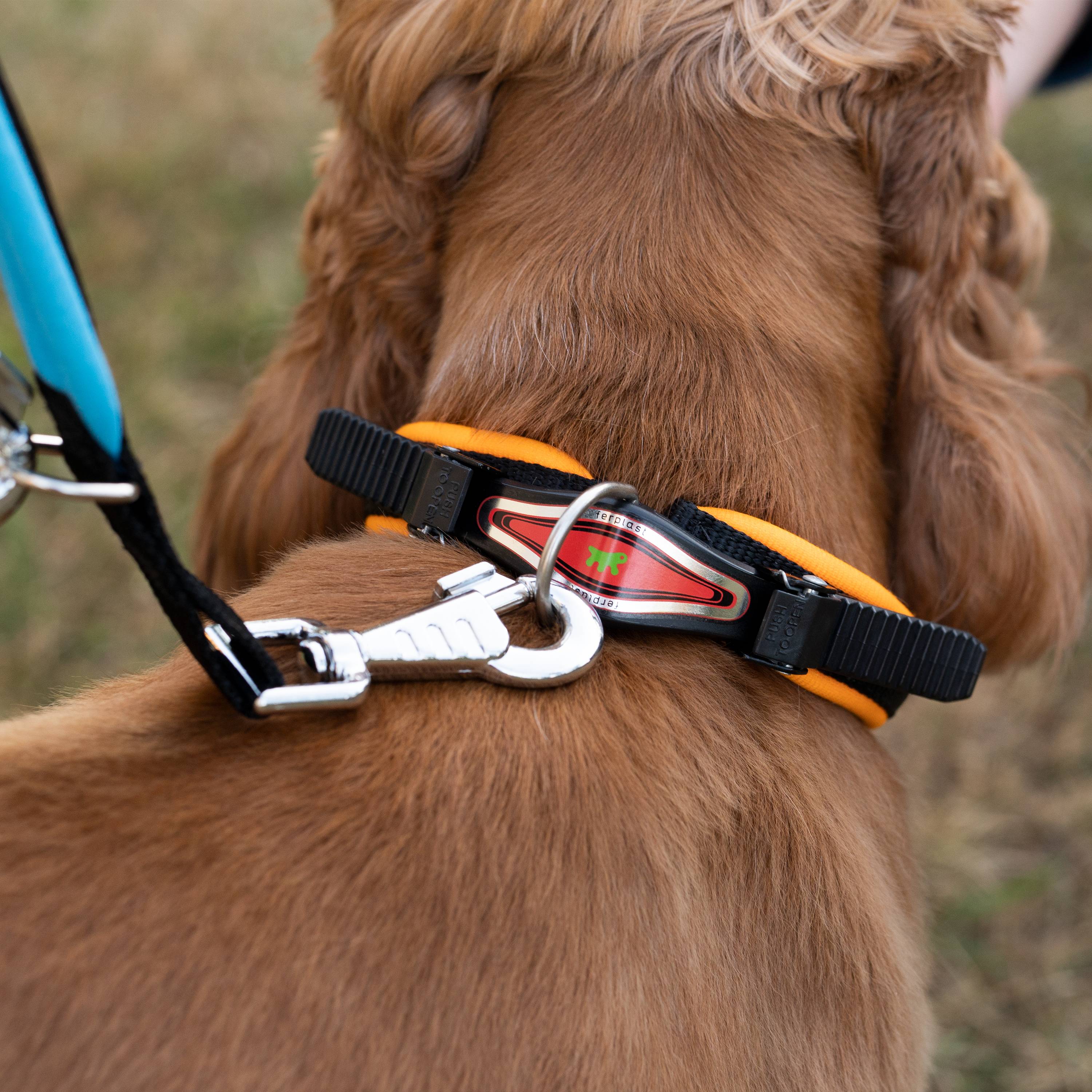 Ferplast - Collier Ergonomique pour Chiens ERGOFLUO C15/42 avec Rembourrage et Fermeture à Micro-régulation - Imagen 3