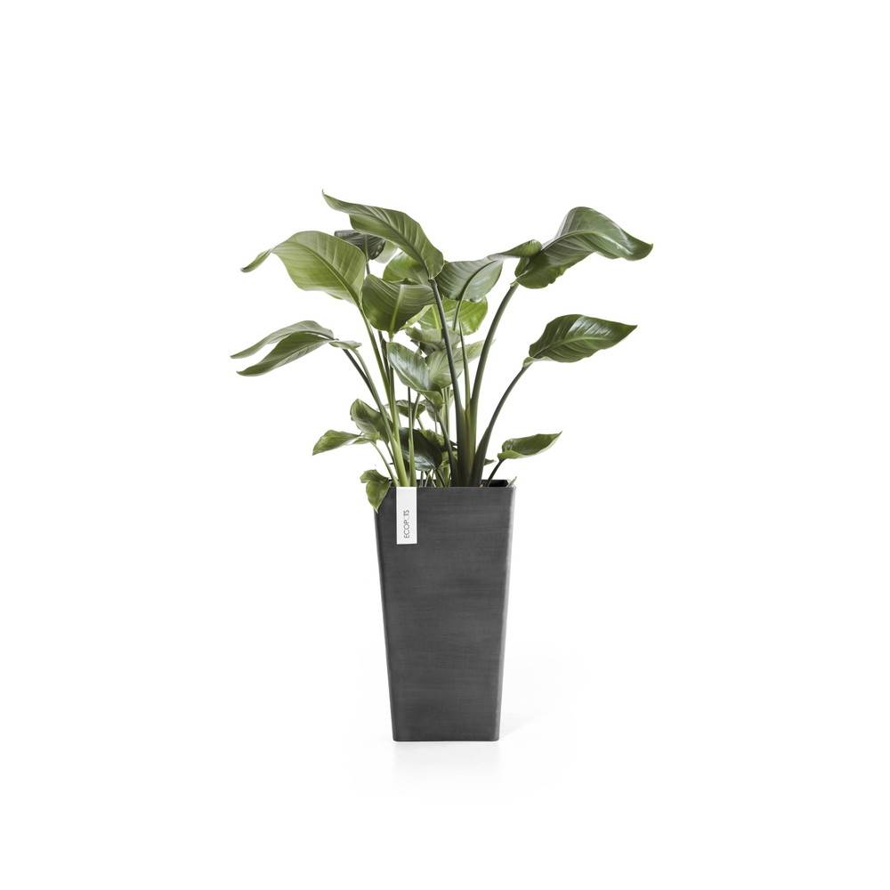 Ecopots - Pot Haut Rotterdam 56 Gris Foncé - 31 x 31 x H. 56 cm - 36,2 L ECOPOTS - Imagen 1