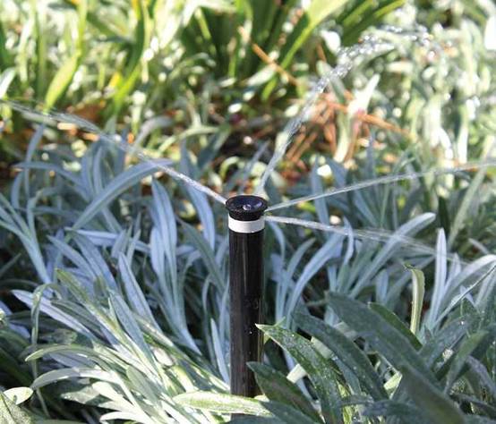 Toro - Buse MPR+ SB 2-180° - Bubbler à 2 jets opposés - Gris - Traj. 35° - Portée 2,7m réglable par vis TORO - Imagen 2