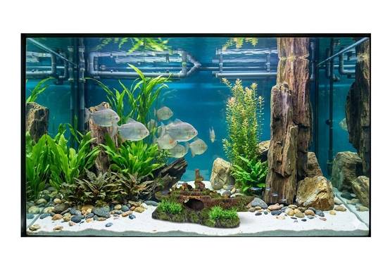 Décoration aquarium sous-marin épave cachettes poissons 23 cm - Image 2