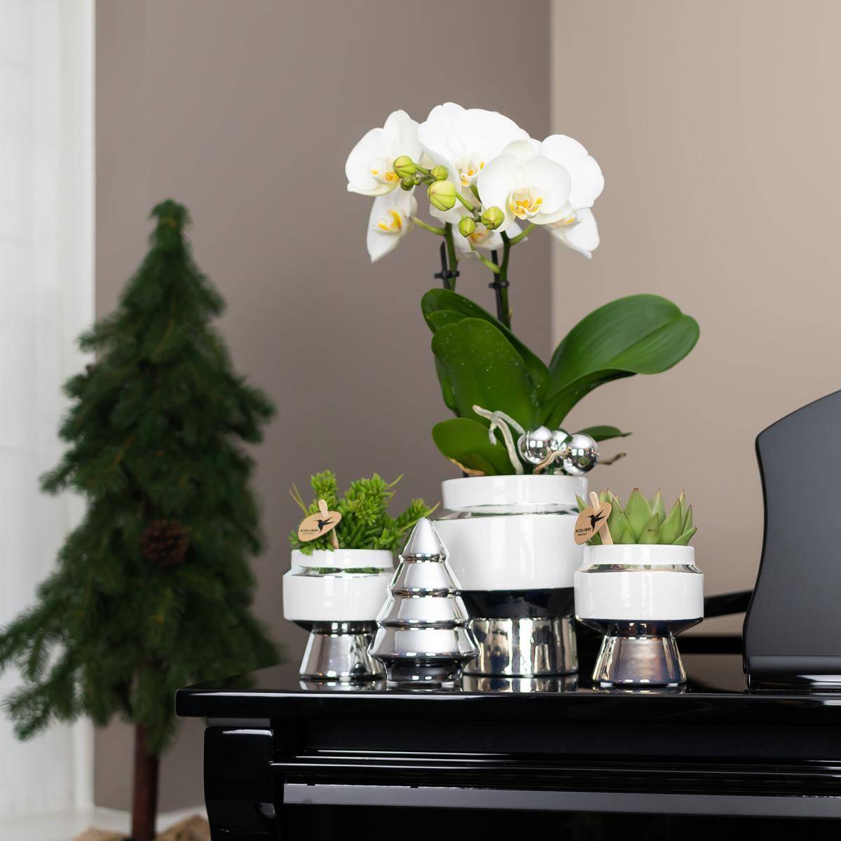 Le Chic : Pot en céramique blanche argentée- La Green Touch - Image 4