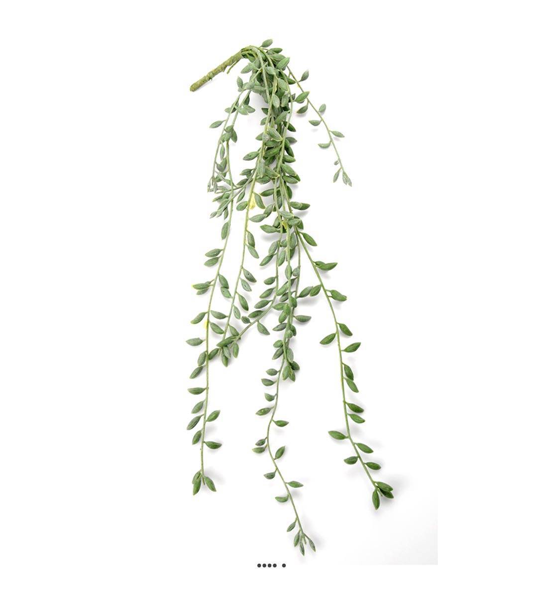 Chute de Senecio artificiel, L 52 cm, D 15 cm - Image 1