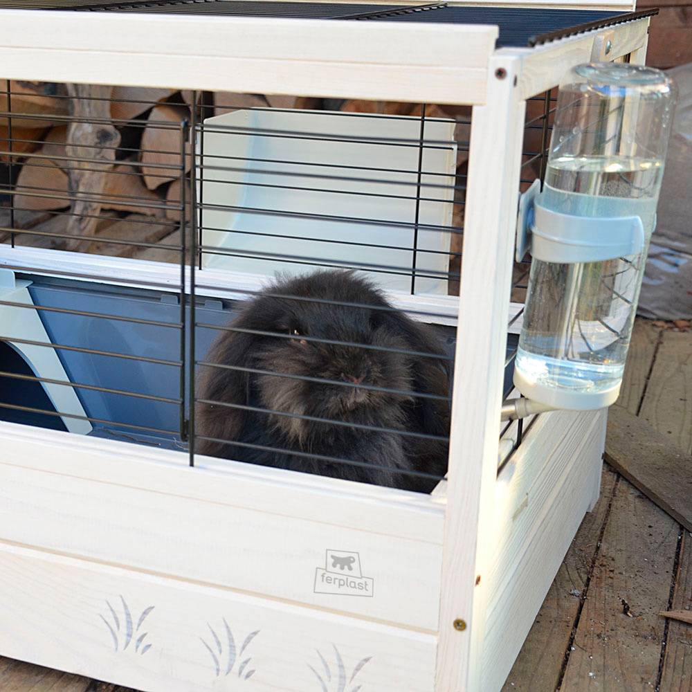 Ferplast - Cage pour Lapins en bois FSC ARENA 80, Cochons d'inde, Accessoires inclus - Imagen 5