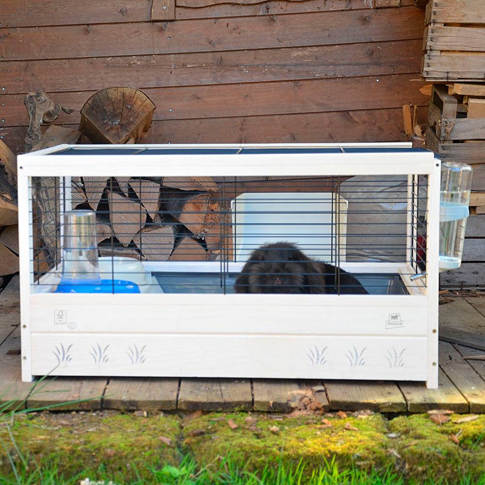 Ferplast - Cage pour Lapins en bois FSC ARENA 80, Cochons d'inde, Accessoires inclus - Imagen 4
