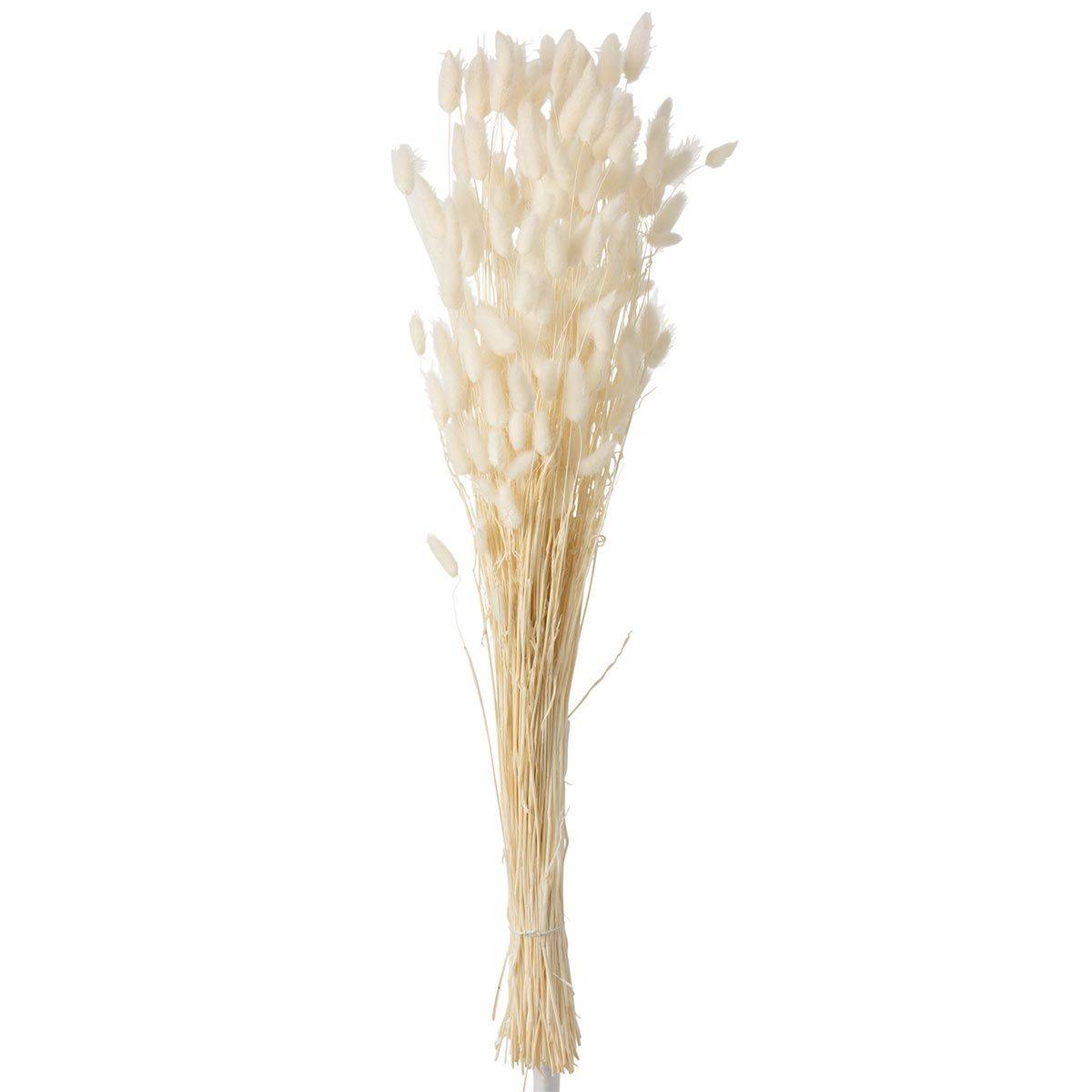 J-Line - Bouquet de Fleurs "Queue de Lièvre" 86cm Écru - Image 1