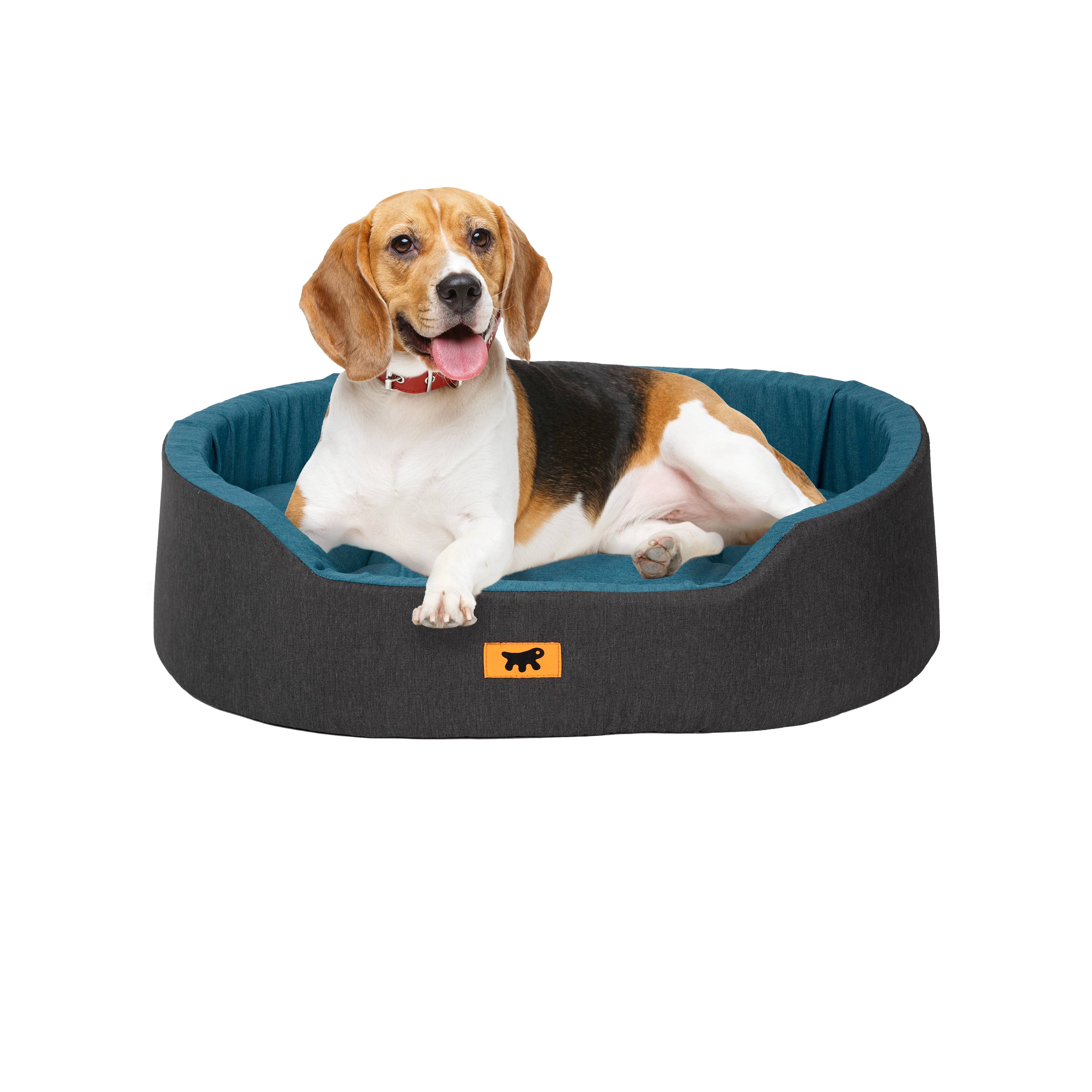 Ferplast - Ferplast Dandy Panier Chien, Coussin Amovible et Lavable, Housse en Coton avec Rembourrage Doux, Lit Chiens Moyen, 80 x 55 x H 18 cm, Bleu Sarcelle - Imagen 4