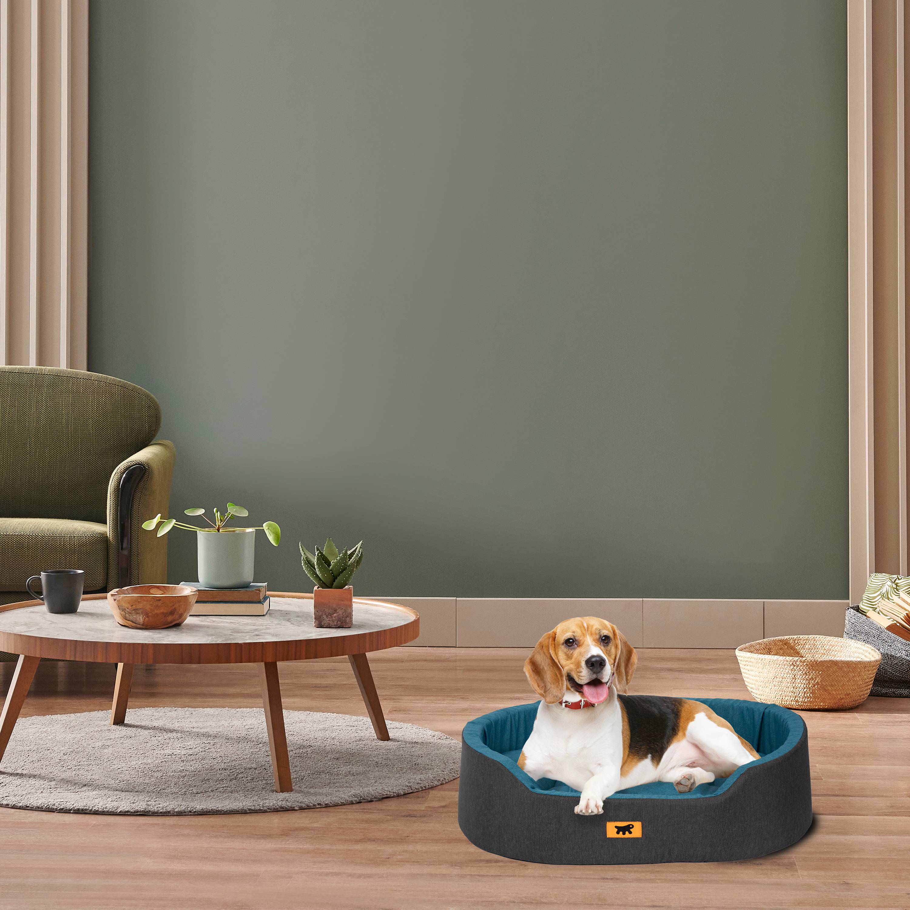 Ferplast - Ferplast Dandy Panier Chien, Coussin Amovible et Lavable, Housse en Coton avec Rembourrage Doux, Lit Chiens Moyen, 80 x 55 x H 18 cm, Bleu Sarcelle - Imagen 3