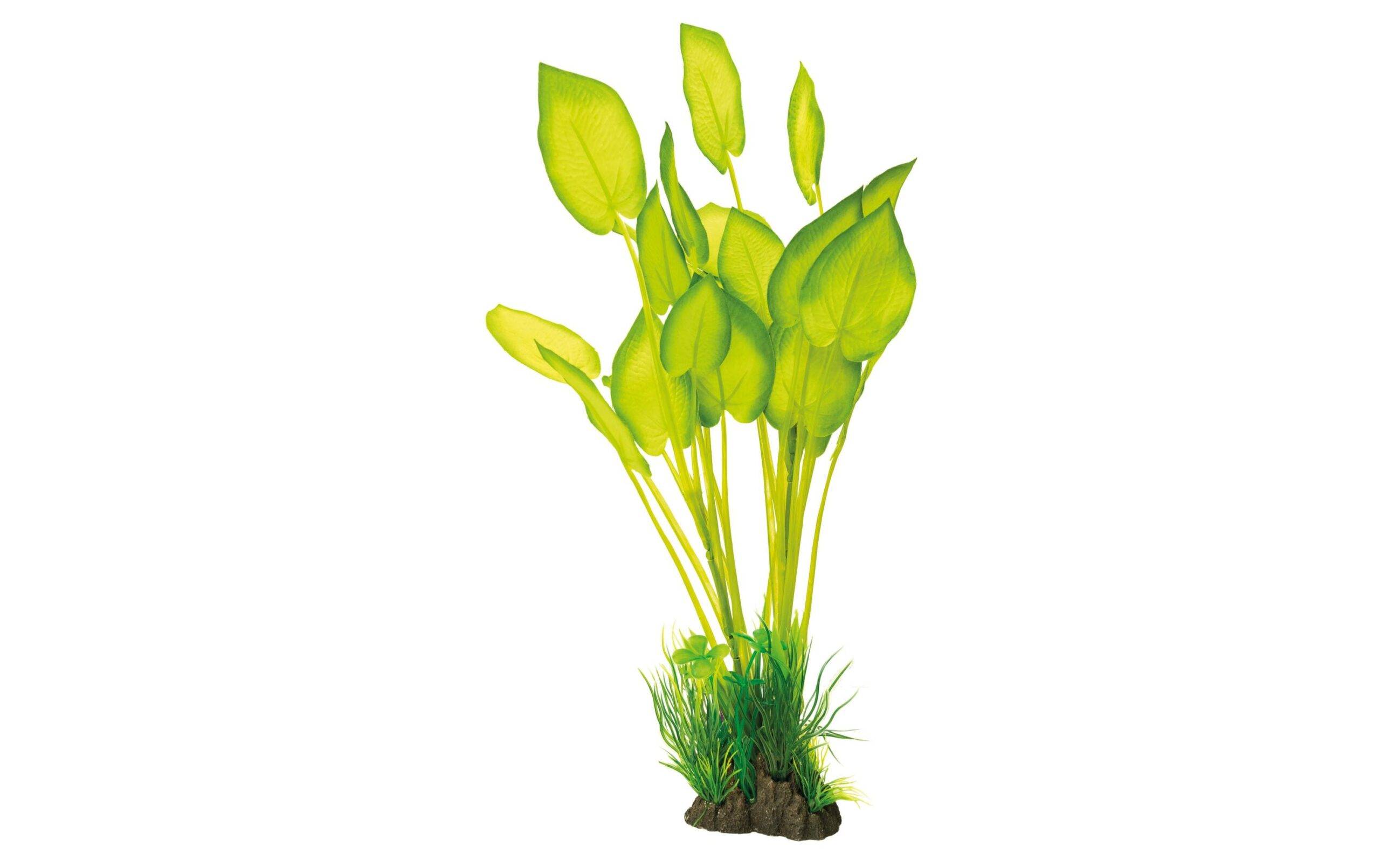 Superfish - Plante artificielle Echinodorus plastique vert 40 cm - SUPERFISH