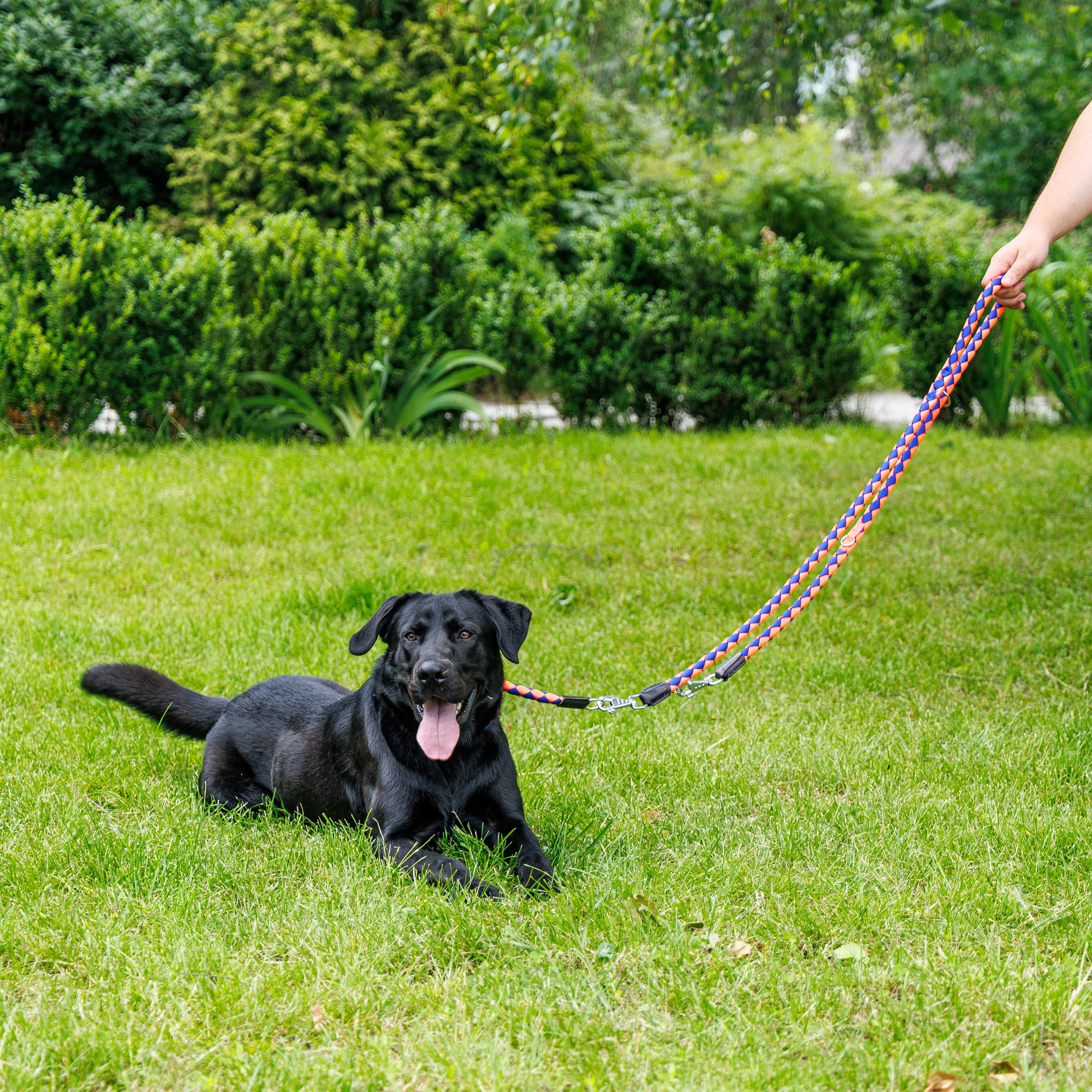 Ferplast - Laisse de Dressage pour Chiens en Nylon TWIST MATIC GA18/200, Mousqueton Magnétique Automatique - Imagen 3