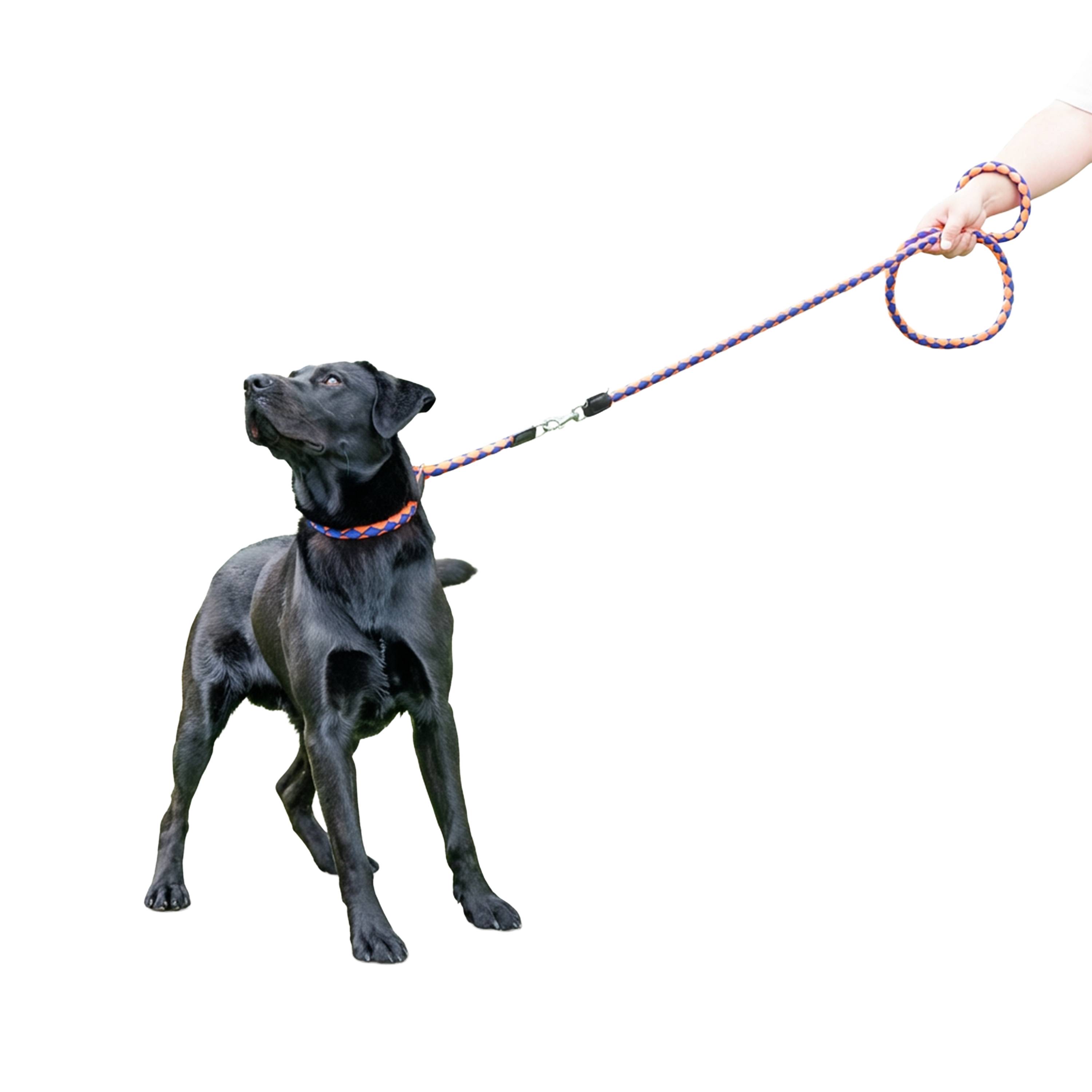 Ferplast - Laisse de Dressage pour Chiens en Nylon TWIST MATIC GA18/200, Mousqueton Magnétique Automatique - Imagen 4