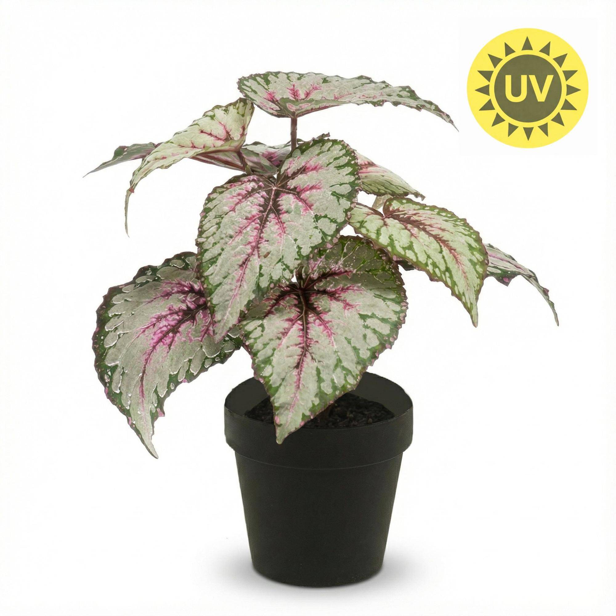 Begonia - UV - intérieur et extérieur - Ø10cm - Plante artificielle - Image 2