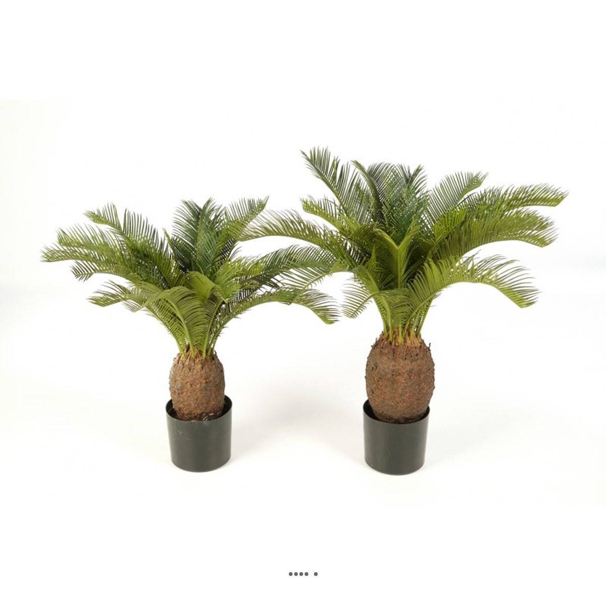 Artificielles - Palmier Artificiel Cycas H 70 cm 22 feuilles en pot
