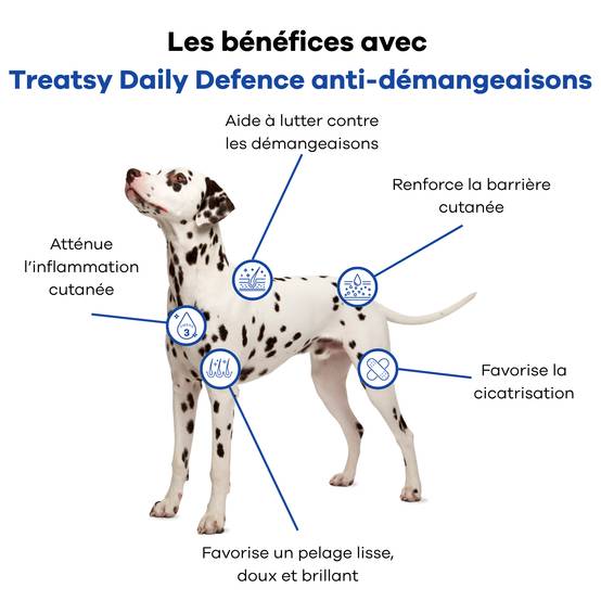 Complément Anti Démangeaisons pour chien - Apaise & soutient la peau & le poil - Quercétine, EPA, DHA, Zinc, Biotine, Vit E, Acides aminés - Treatsy - Image 3