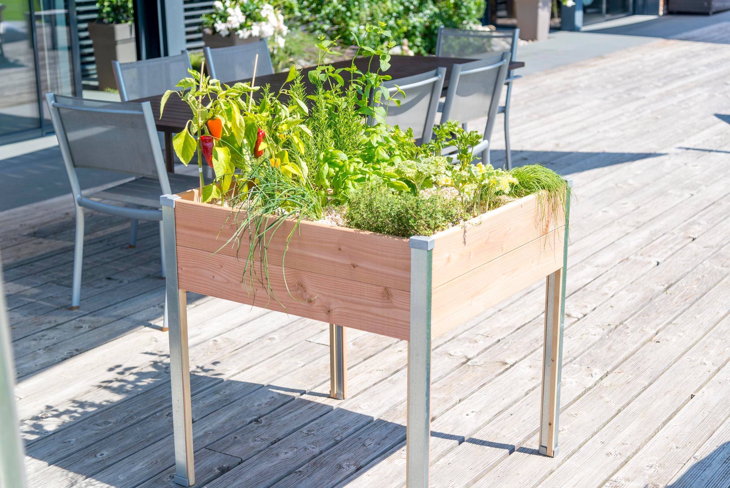 Mon Petit Potager - Bac potager sur pieds Design - Bois Douglas non traité - 65 x 60 x H80cm - mon PETIT POTAGER - Image 2