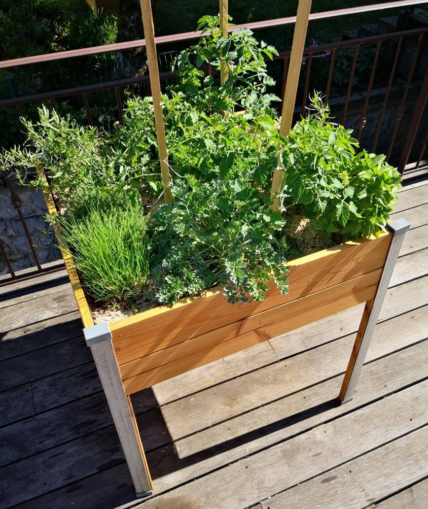 Mon Petit Potager - Bac potager sur pieds Design - Bois Douglas non traité - 65 x 60 x H80cm - mon PETIT POTAGER - Image 4