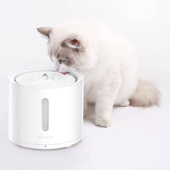 Filtres pour fontaine à eau pour Chat et Chien, 5 pièces - EVERSWEET 2.0 & 3.0 & CYBERTAIL Petkit - Image 3