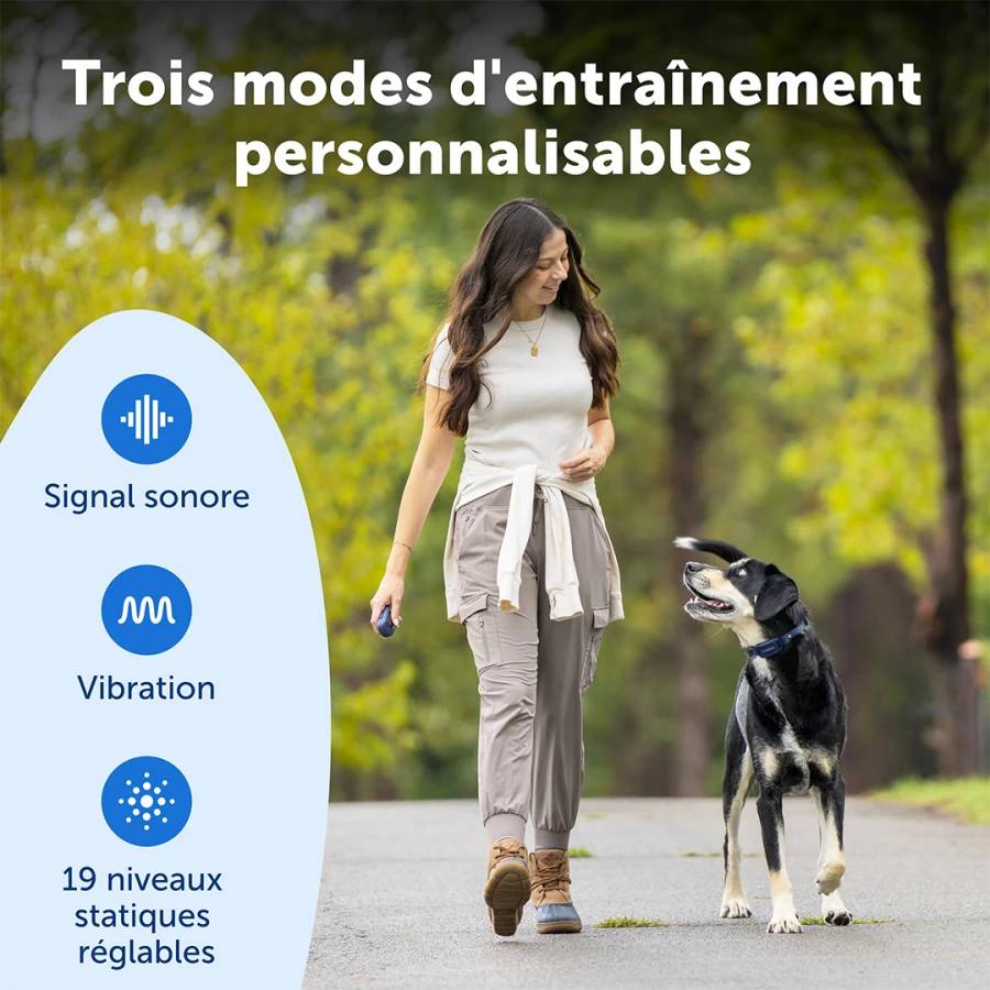 Petsafe - Système d'aide à l'éducation 300m - Pro - Image 4