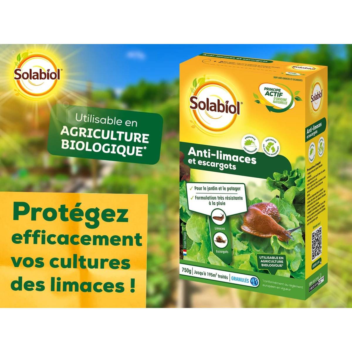 Solabiol - Anti-Limaces et escargots - Boite de 750 grs - Utilisable en Agriculture Biologique - Image 4