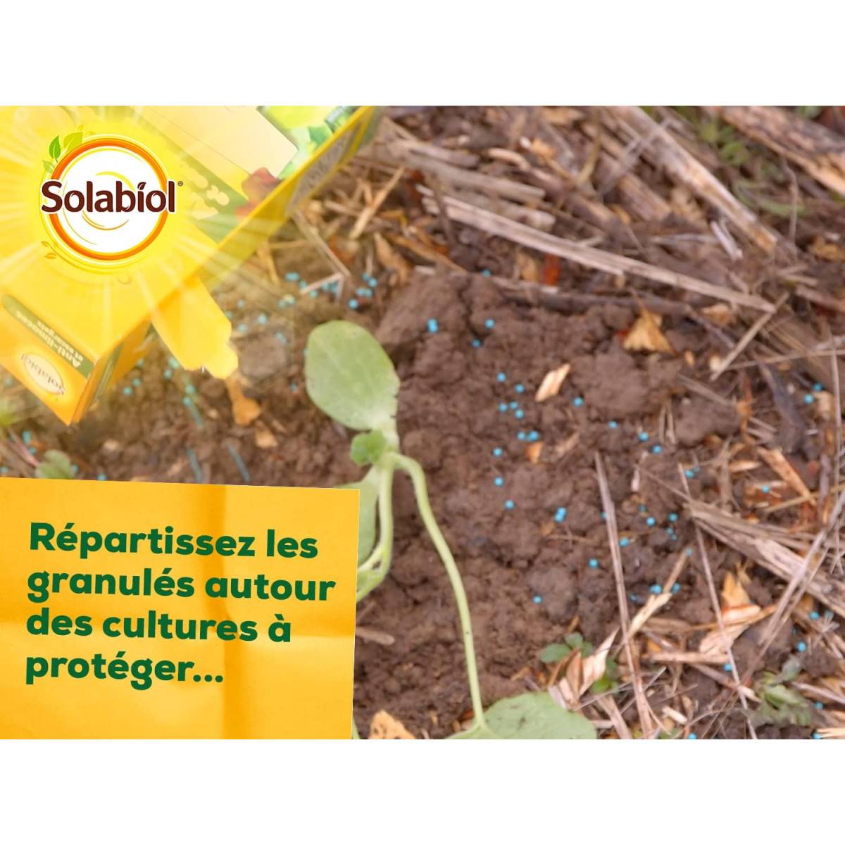 Solabiol - Anti-Limaces et escargots - Boite de 750 grs - Utilisable en Agriculture Biologique - Image 5