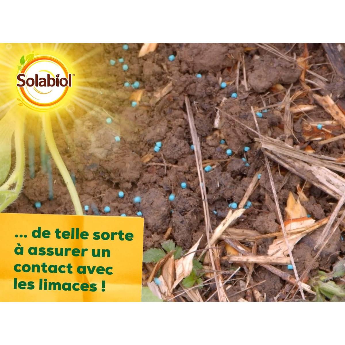 Solabiol - Anti-Limaces et escargots - Boite de 750 grs - Utilisable en Agriculture Biologique - Image 6