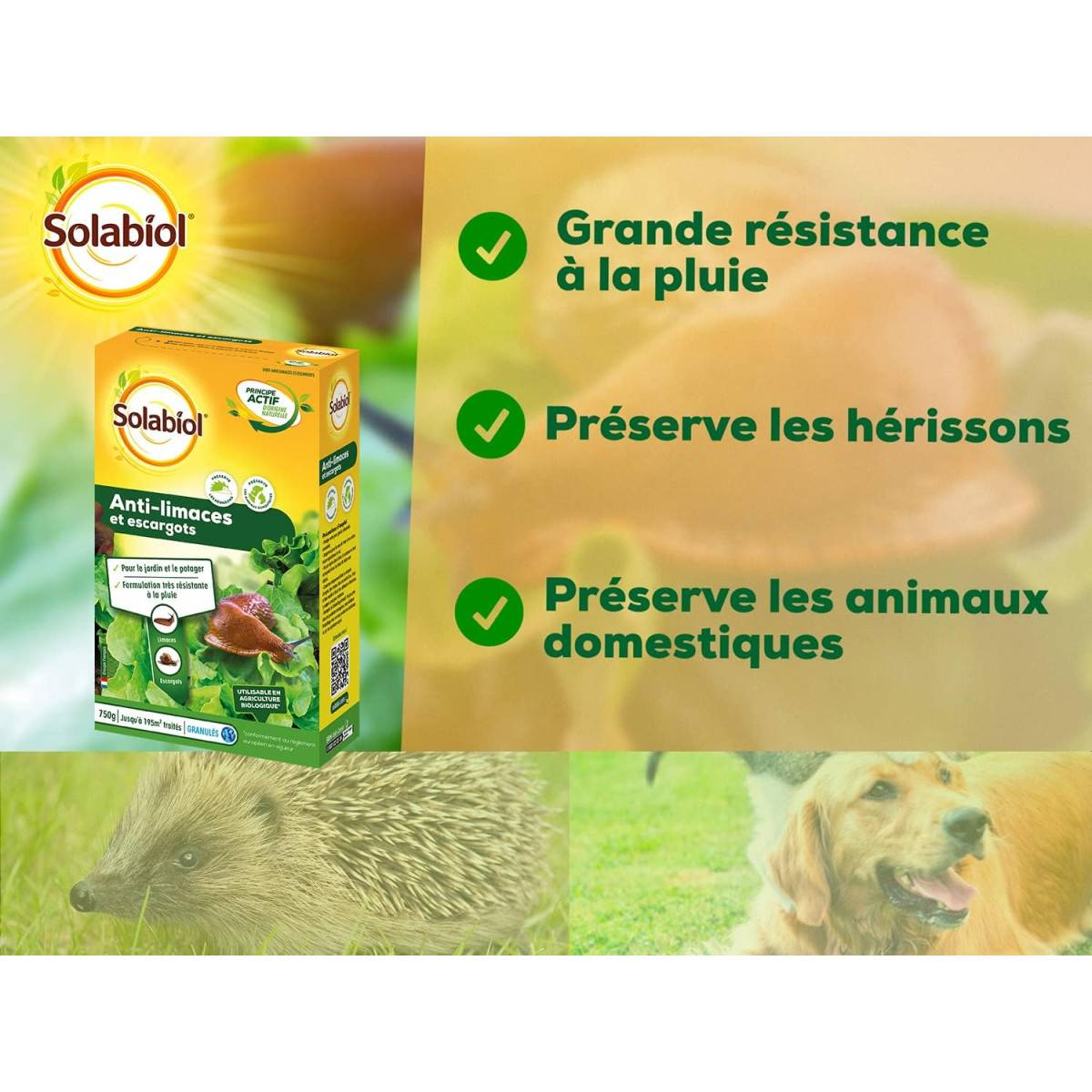 Solabiol - Anti-Limaces et escargots - Boite de 750 grs - Utilisable en Agriculture Biologique - Image 2