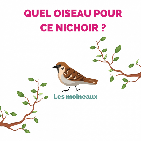 Aubry Gaspard - Nichoir maison en bois Hauteur 25 cm - Aubry Gaspard - Image 2